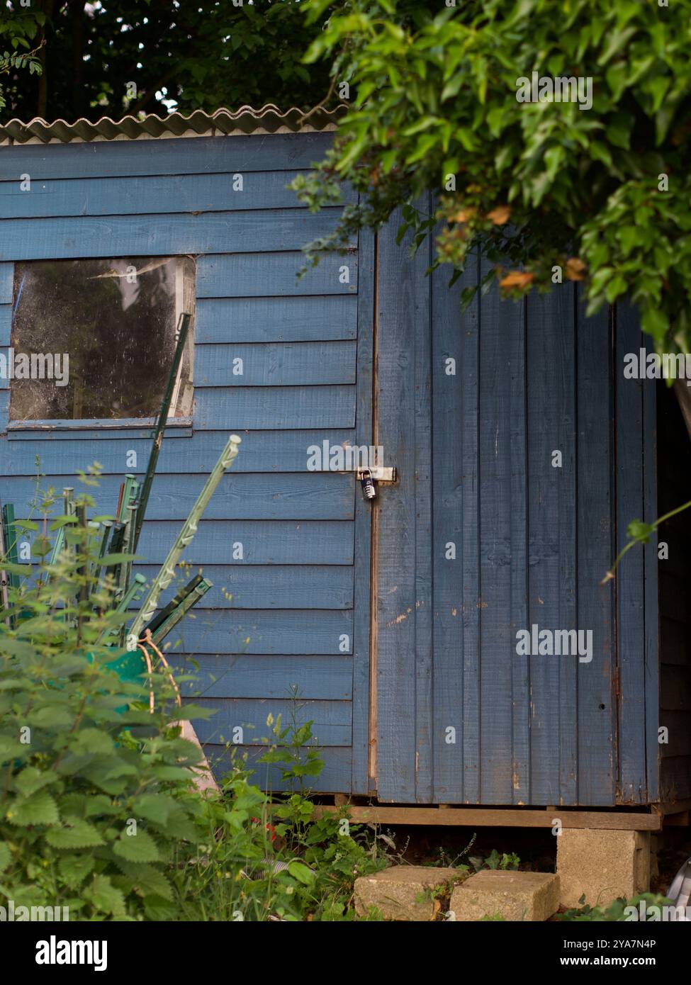 Una capanna in legno blu rustico con una porta chiusa a lucchetto, circondata da piante coltivate e annidata sotto alberi frondosi. Foto Stock