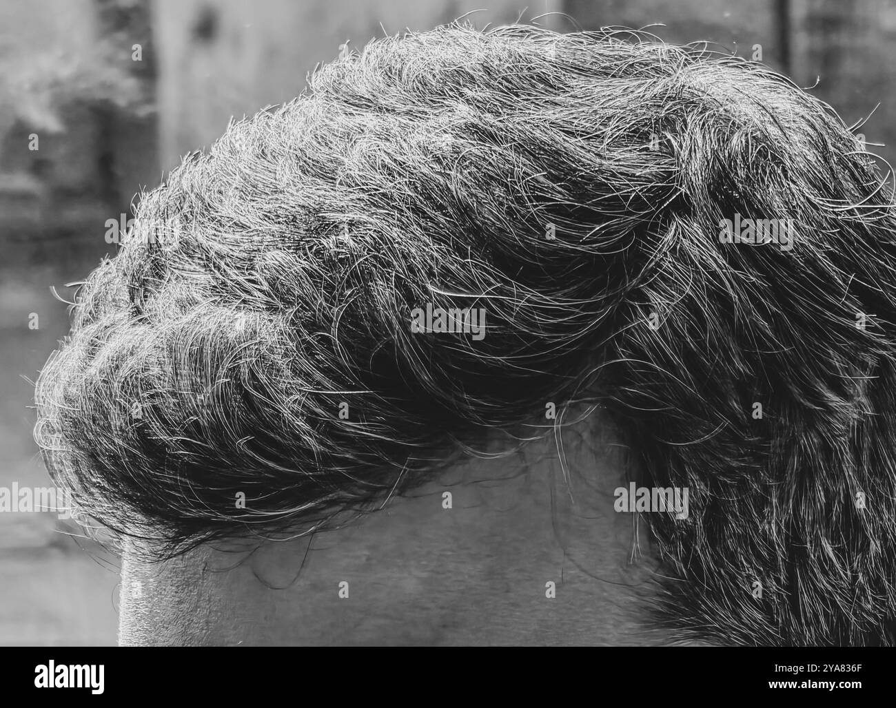 Capelli grigi e neri: Prospettiva ravvicinata di un uomo adulto Foto Stock