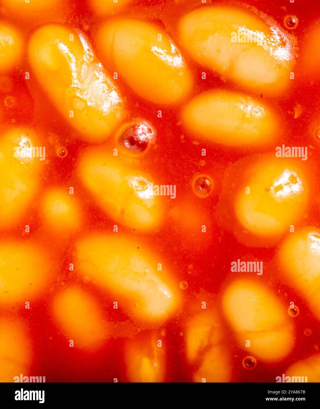 Dettagli ravvicinati dei tradizionali precotti, negozio che comprava fagioli comuni di pisello cotti al forno, presentati in una ciotola da portata dopo il riscaldamento e pronti per il consumo. Foto Stock