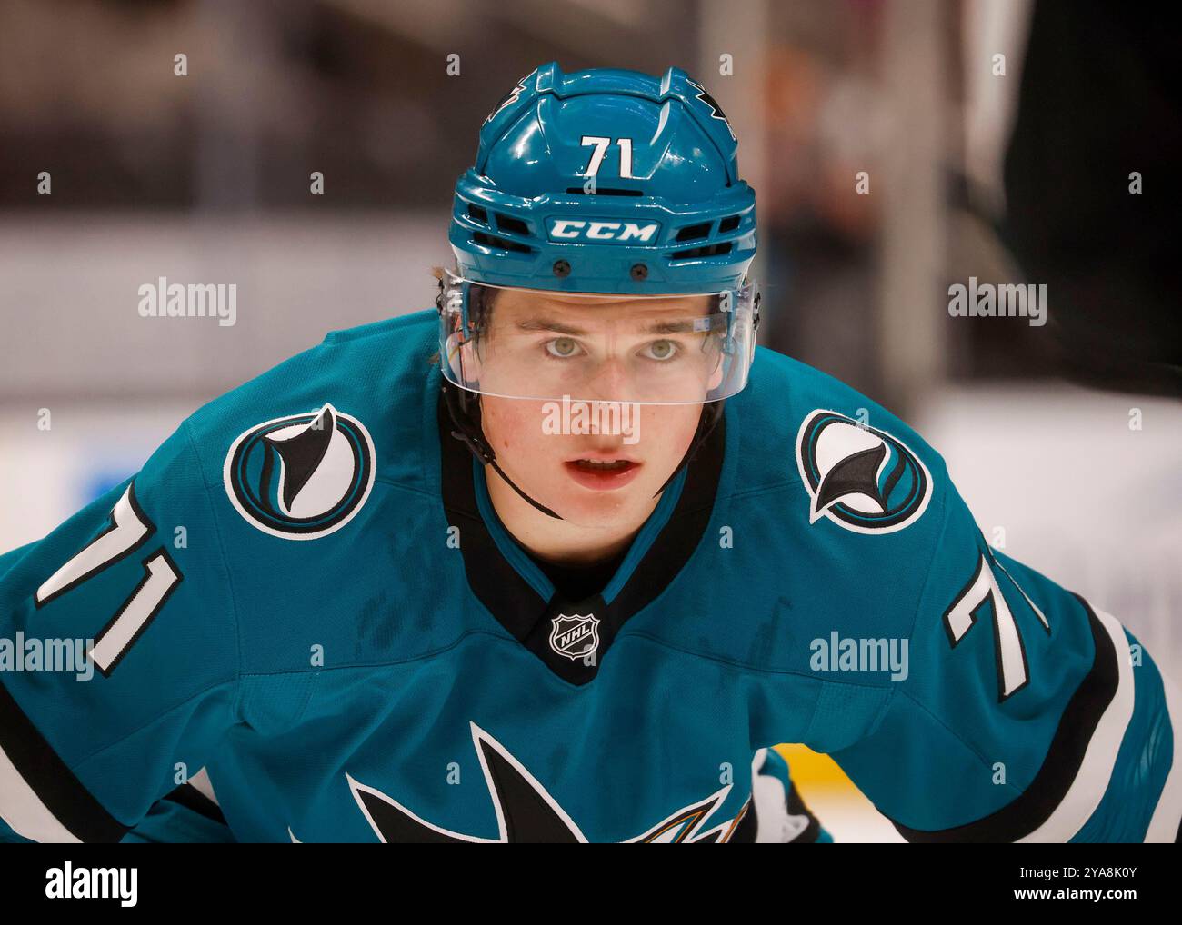 San Jose, Stati Uniti. 22 settembre 2024. Macklin Celebrini dei San Jose Sharks (71) aspetta un incontro contro i Vegas Golden Knights nel primo periodo di una partita di pre-stagione al SAP Center di San Jose, California, il 22 settembre 2024. (Foto di Nhat V. Meyer/Bay area News Group/TNS/Sipa USA) credito: SIPA USA/Alamy Live News Foto Stock