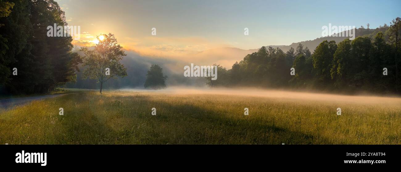 Cataloochee Valley Sunrise Panorama, Great Smoky Mountains, North Carolina, Stati Uniti Foto Stock