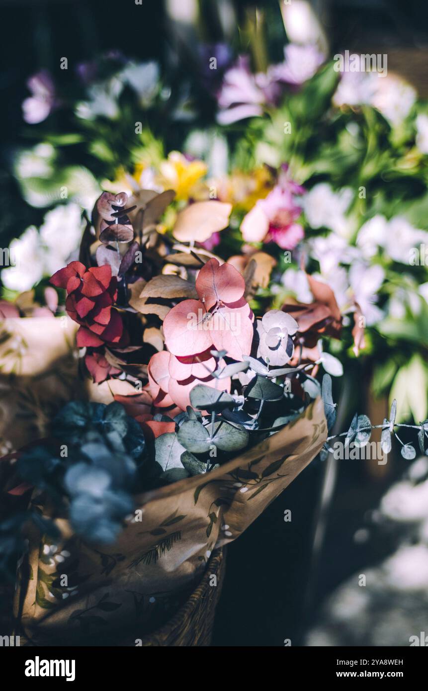 Un vivace primo piano di fresche foglie di eucalipto in una disposizione del bouquet Foto Stock