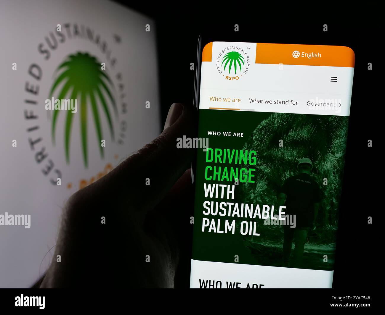 Persona che tiene un cellulare con la pagina Web di Roundtable on Sustainable Palm Oil (RSPO) sullo schermo davanti al logo. Messa a fuoco al centro del display del telefono. Foto Stock