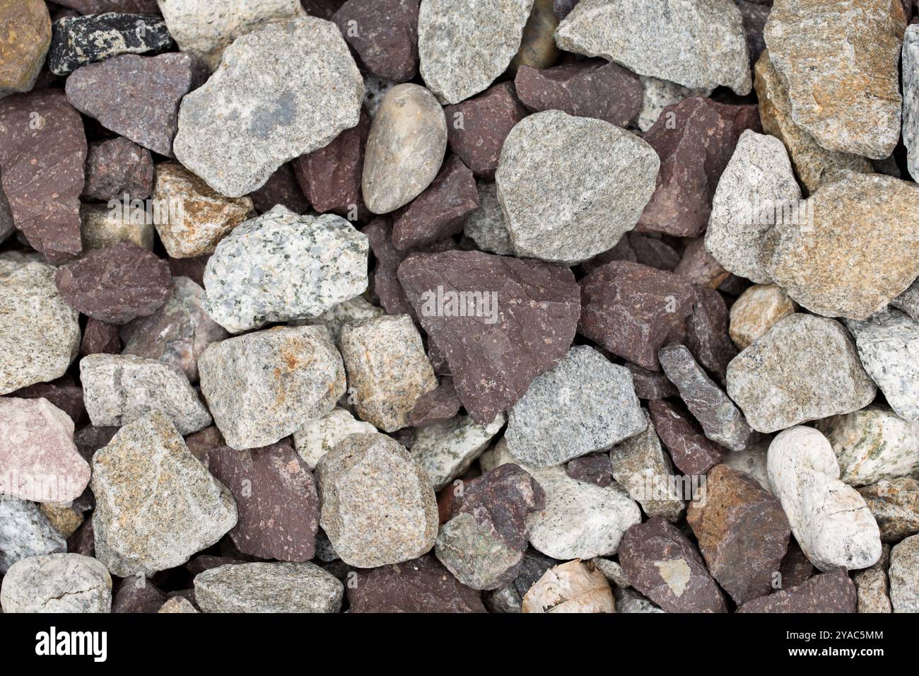 L'immagine raffigura un assortimento di rocce con colori e texture diversi; illustra la varietà geologica che si trova in natura. Questa raccolta emph Foto Stock