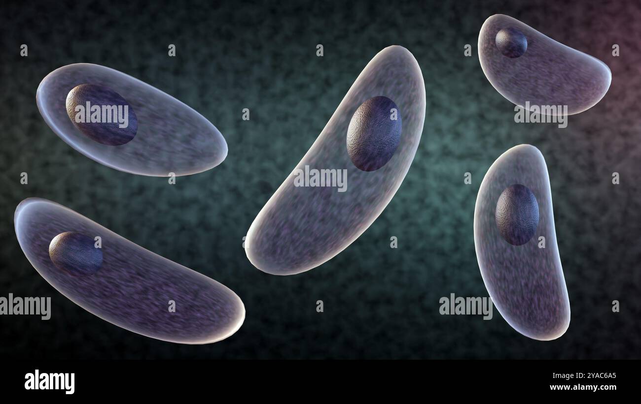 il rendering 3d del toxoplasma gondii è un parassita protozoico che può colpire sia gli animali che gli esseri umani. Foto Stock