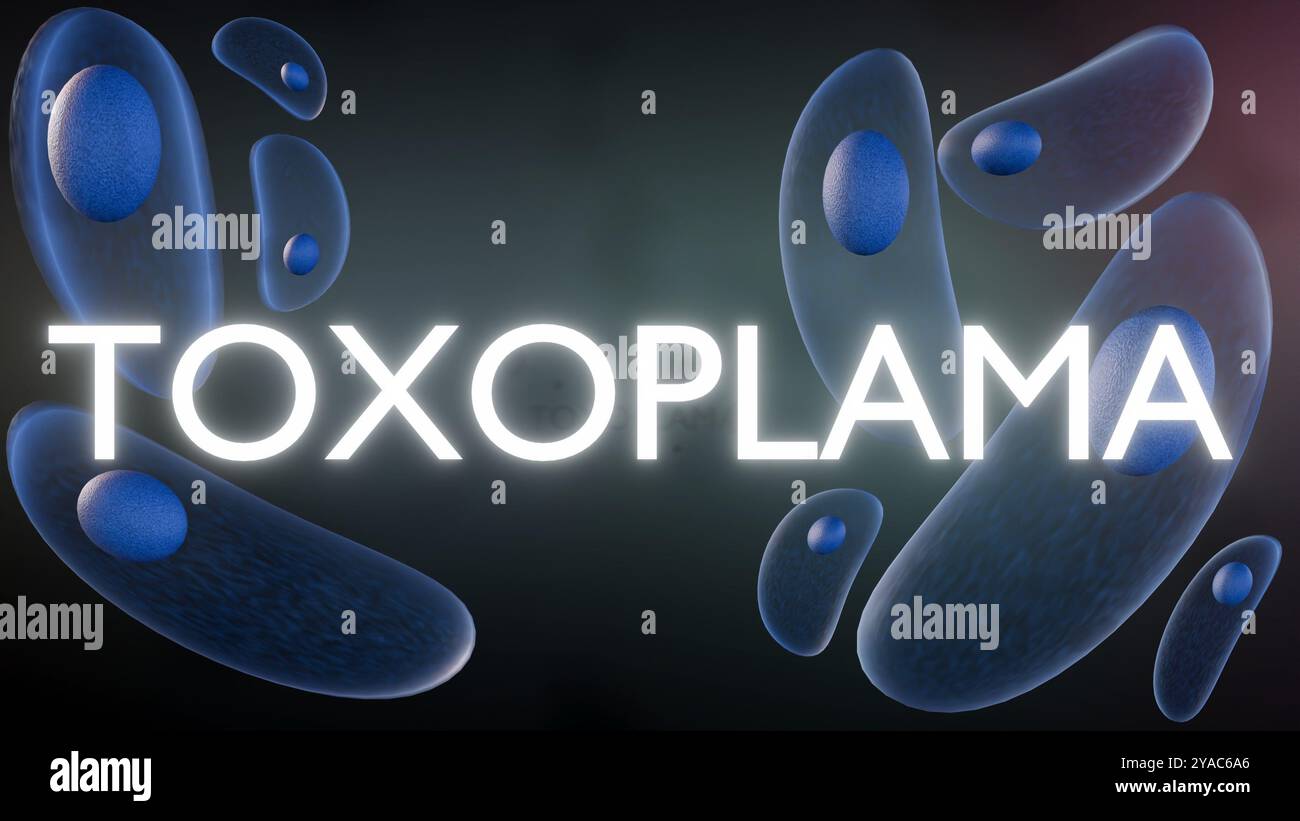 il rendering 3d del toxoplasma gondii è un parassita protozoico che può colpire sia gli animali che gli esseri umani. Foto Stock