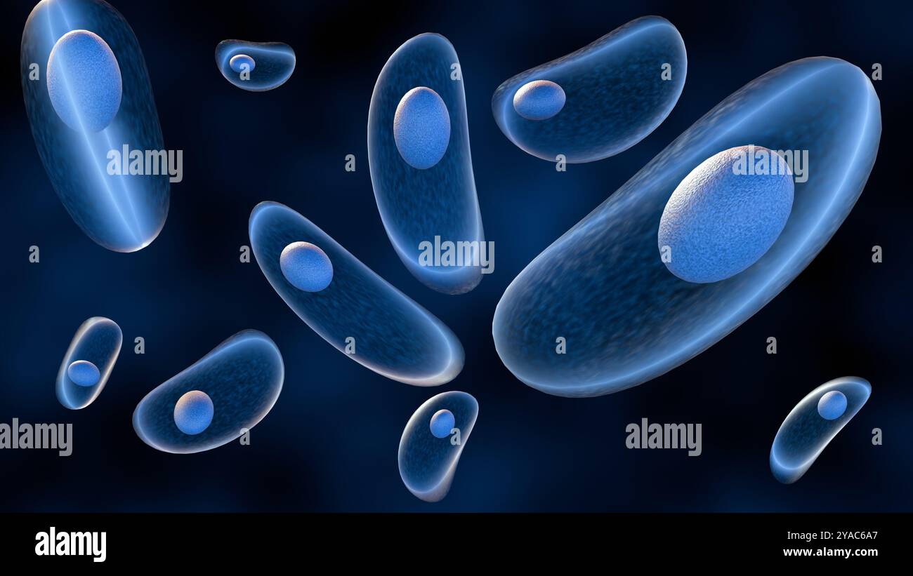 il rendering 3d del toxoplasma gondii è un parassita protozoico che può colpire sia gli animali che gli esseri umani. Foto Stock