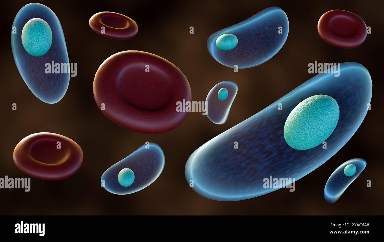 Il rendering 3d del Toxoplasma gondii, il protozoo che causa la toxoplasmosi, può interagire con i globuli rossi. Foto Stock