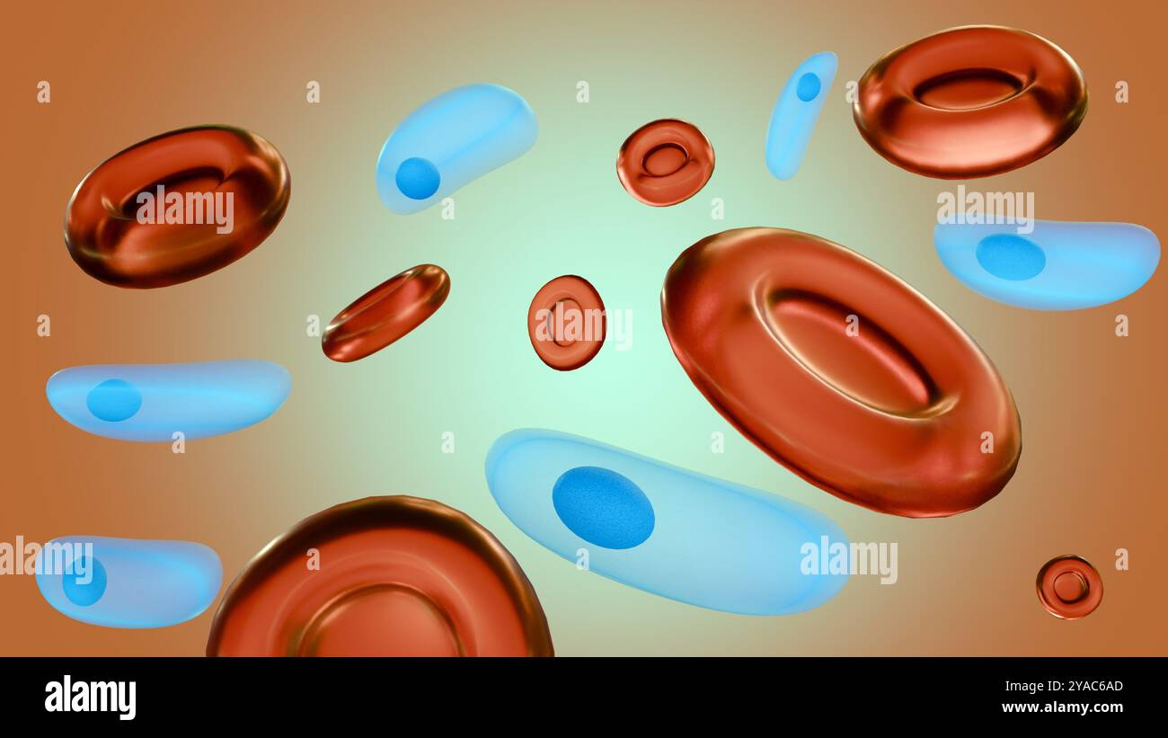 Il rendering 3d del Toxoplasma gondii, il protozoo che causa la toxoplasmosi, può interagire con i globuli rossi. Foto Stock