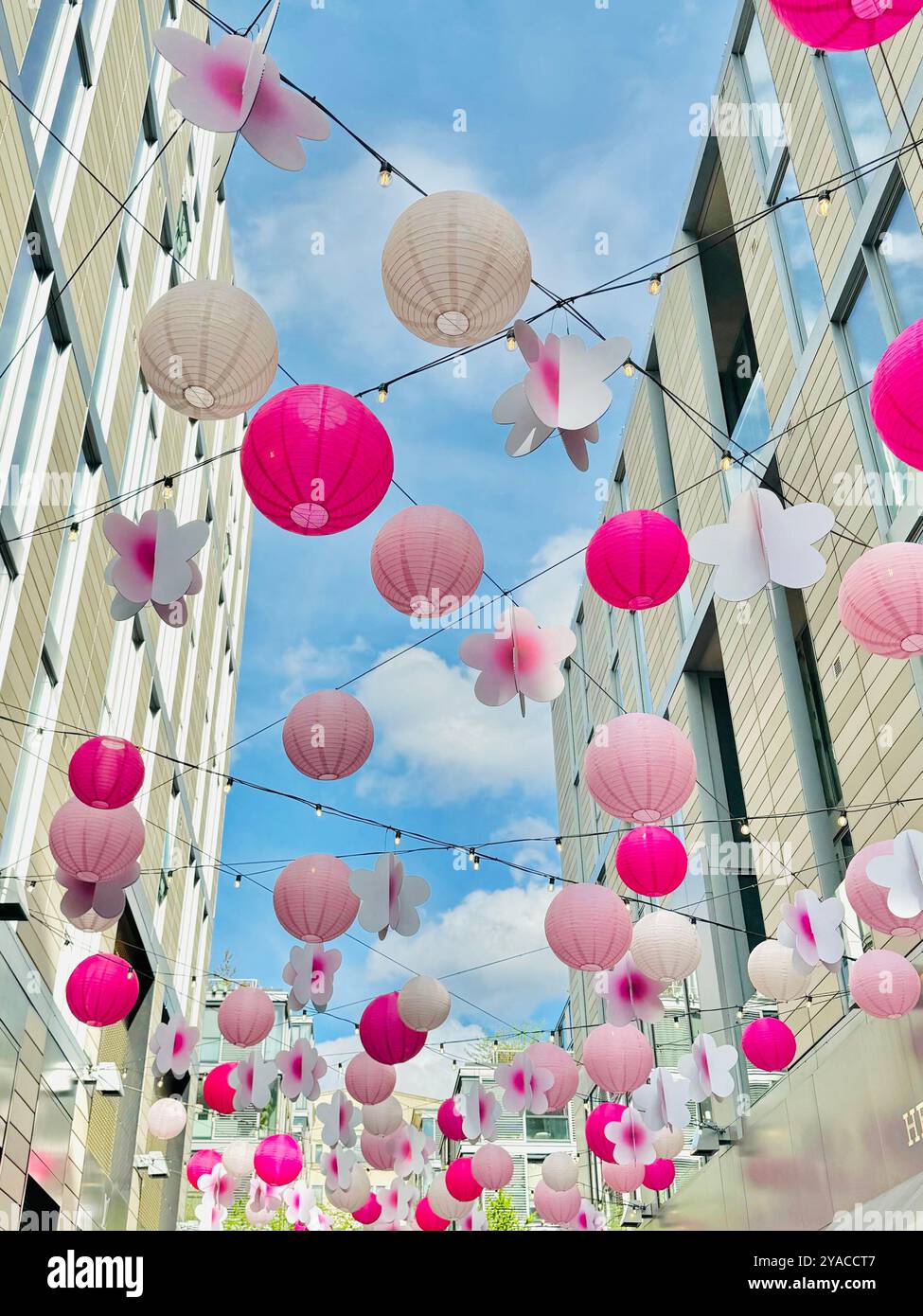 Lanterne di carta rosa bianca e floreale appese nel cielo. - Immagine stock catturata con smartphone