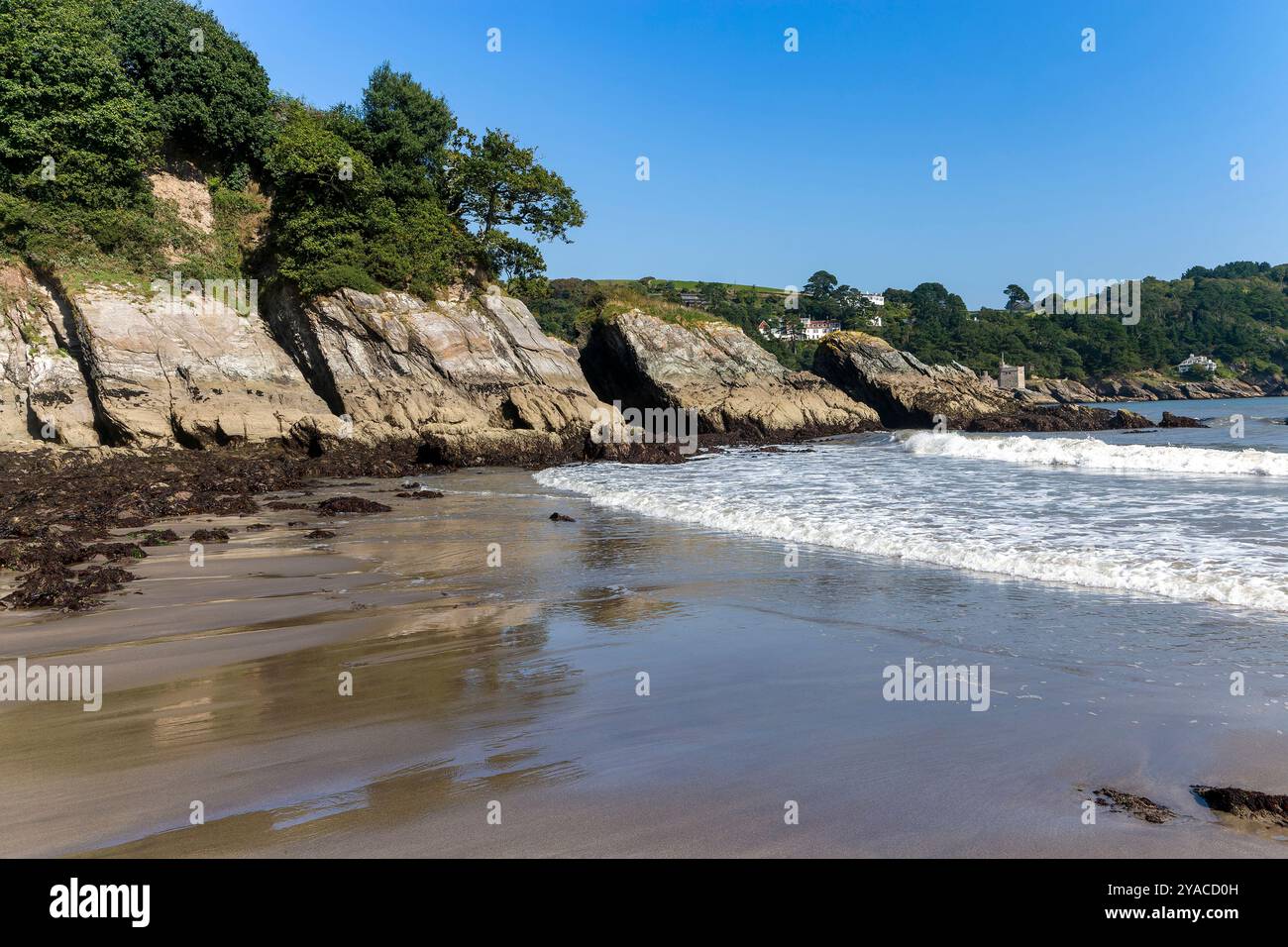 Sugary Cove Low Tide con riflessioni e rocce esposte che guardano attraverso la foce del fiume Dart verso South West Coast Path, con il castello di Kingswear Foto Stock