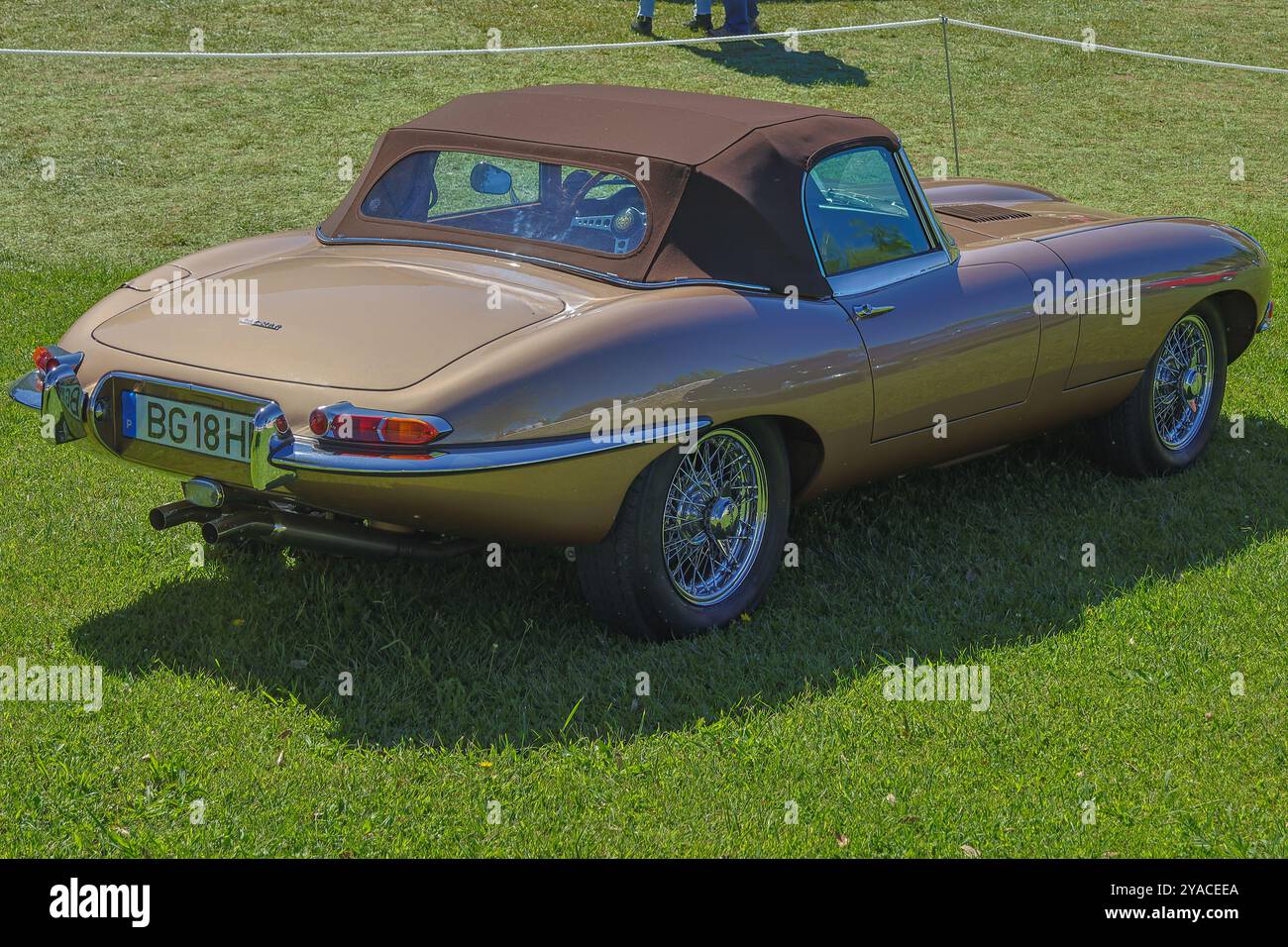 Classica jaguar e TYPE serie 1 convertibile in oro con la sua capote parcheggiata sull'erba Foto Stock