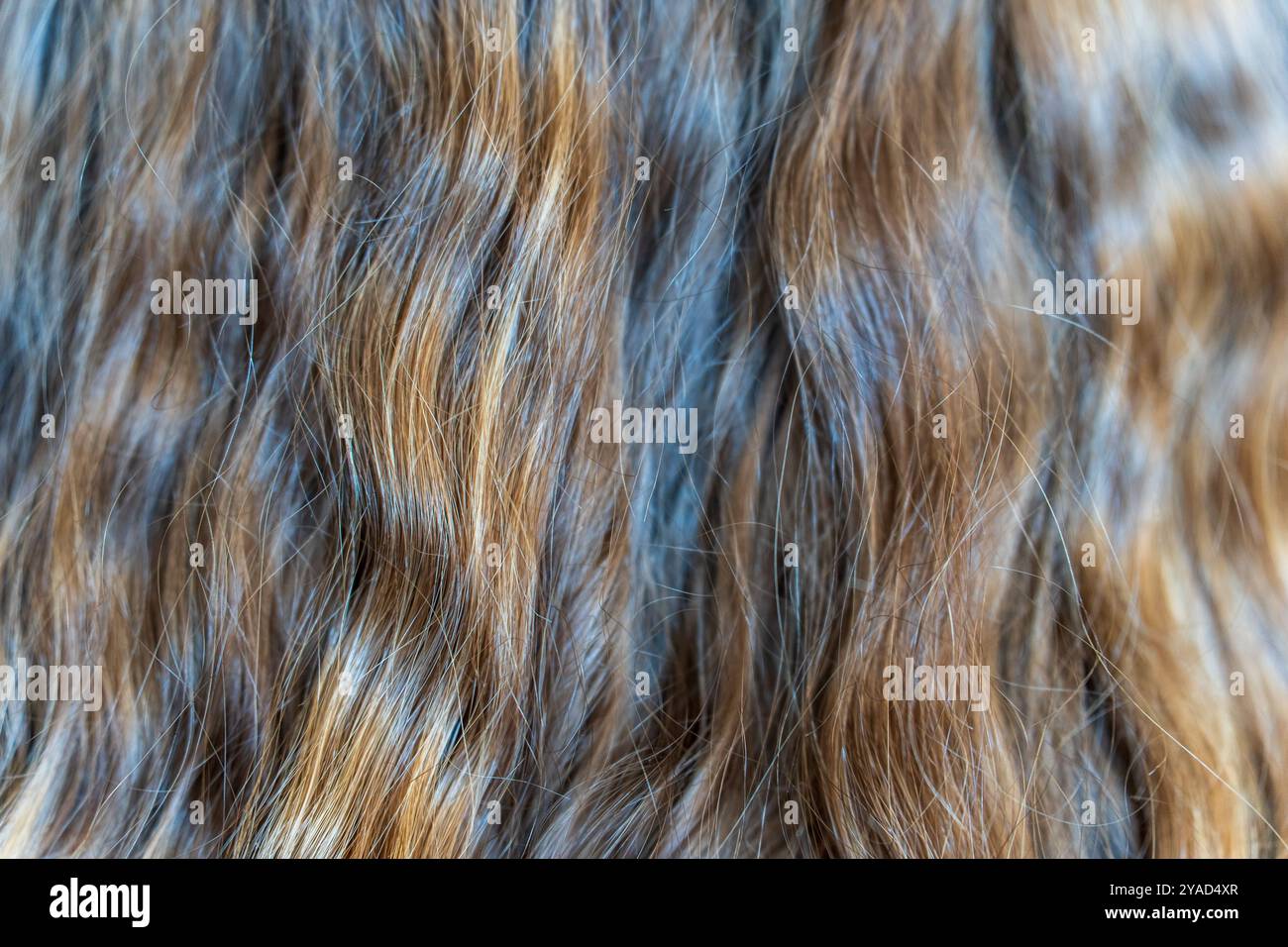 Eleganza bruna: Astratta. Sfondo nero e marrone Foto Stock