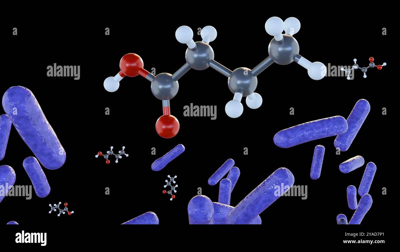 rendering 3d di molecole di acido butirrico e specie batteriche, è un prezioso metabolita prodotto da batteri intestinali Foto Stock