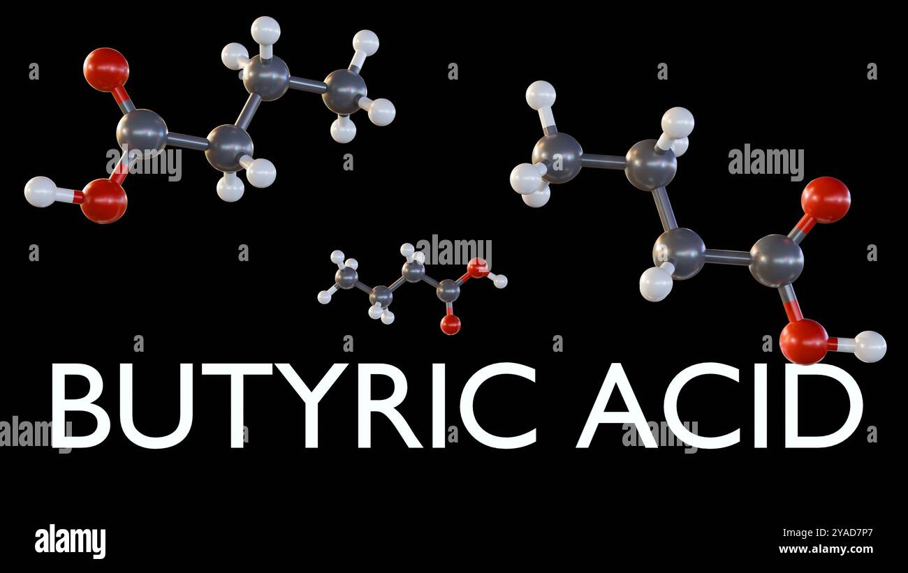 rendering 3d della struttura chimica dell'acido butirrico. È utilizzato nella produzione di una varietà di prodotti. Foto Stock