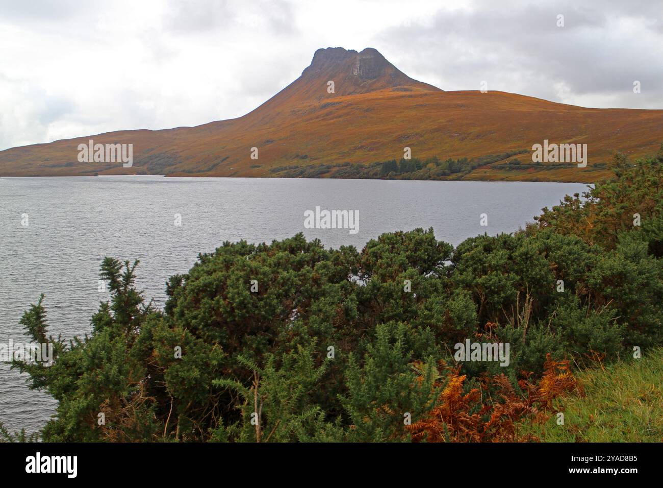 STAC Pollaidh, Highlands, Scozia Foto Stock