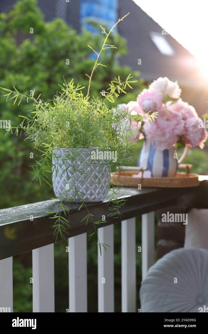 Bella pianta in vaso e fiori di peonia rosa su ringhiera del balcone all'aperto Foto Stock