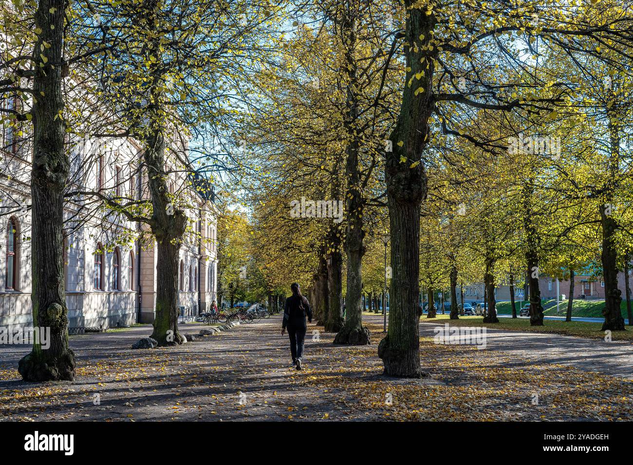La passeggiata meridionale in autunno a Norrköping, Svezia. Le Promenadi di Norrköping sono state ispirate ai viali di Parigi e alla Ringstrasse di Vienna Foto Stock