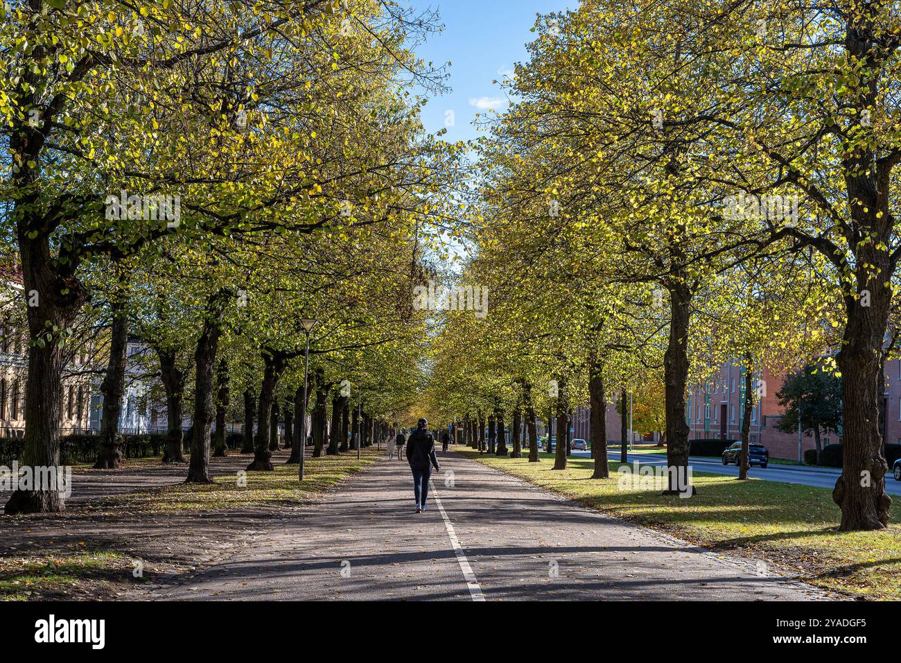 La passeggiata meridionale in autunno a Norrköping, Svezia. Le Promenadi di Norrköping sono state ispirate ai viali di Parigi e alla Ringstrasse di Vienna Foto Stock