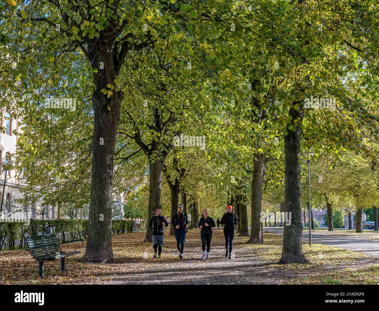 La passeggiata meridionale in autunno a Norrköping, Svezia. Le Promenadi di Norrköping sono state ispirate ai viali di Parigi e alla Ringstrasse di Vienna Foto Stock
