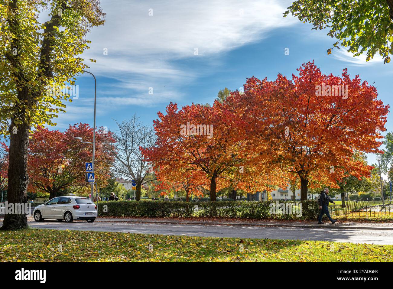 La passeggiata meridionale e il parco cittadino Vasaparken in autunno a Norrköping ottobre 2024. Norrköping è una storica città industriale della Svezia. Foto Stock