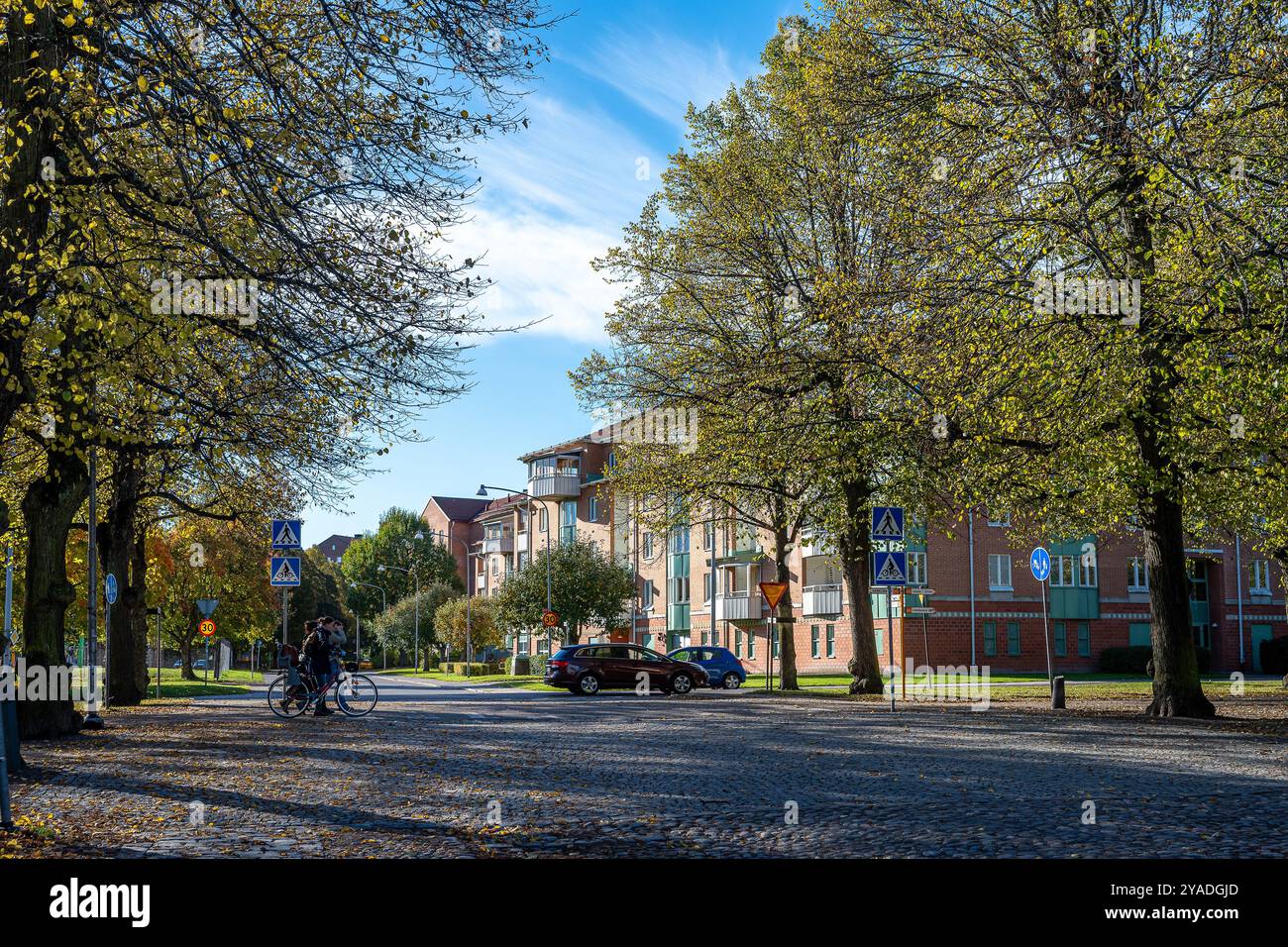 La passeggiata meridionale in autunno a Norrköping, Svezia. Le Promenadi di Norrköping sono state ispirate ai viali di Parigi e alla Ringstrasse di Vienna Foto Stock