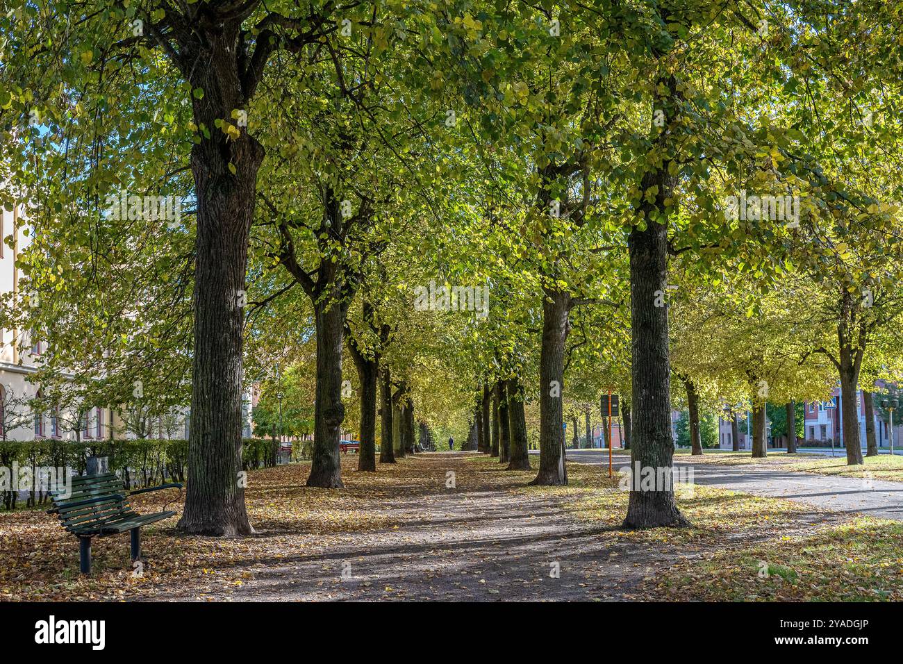 La passeggiata meridionale in autunno a Norrköping, Svezia. Le Promenadi di Norrköping sono state ispirate ai viali di Parigi e alla Ringstrasse di Vienna Foto Stock