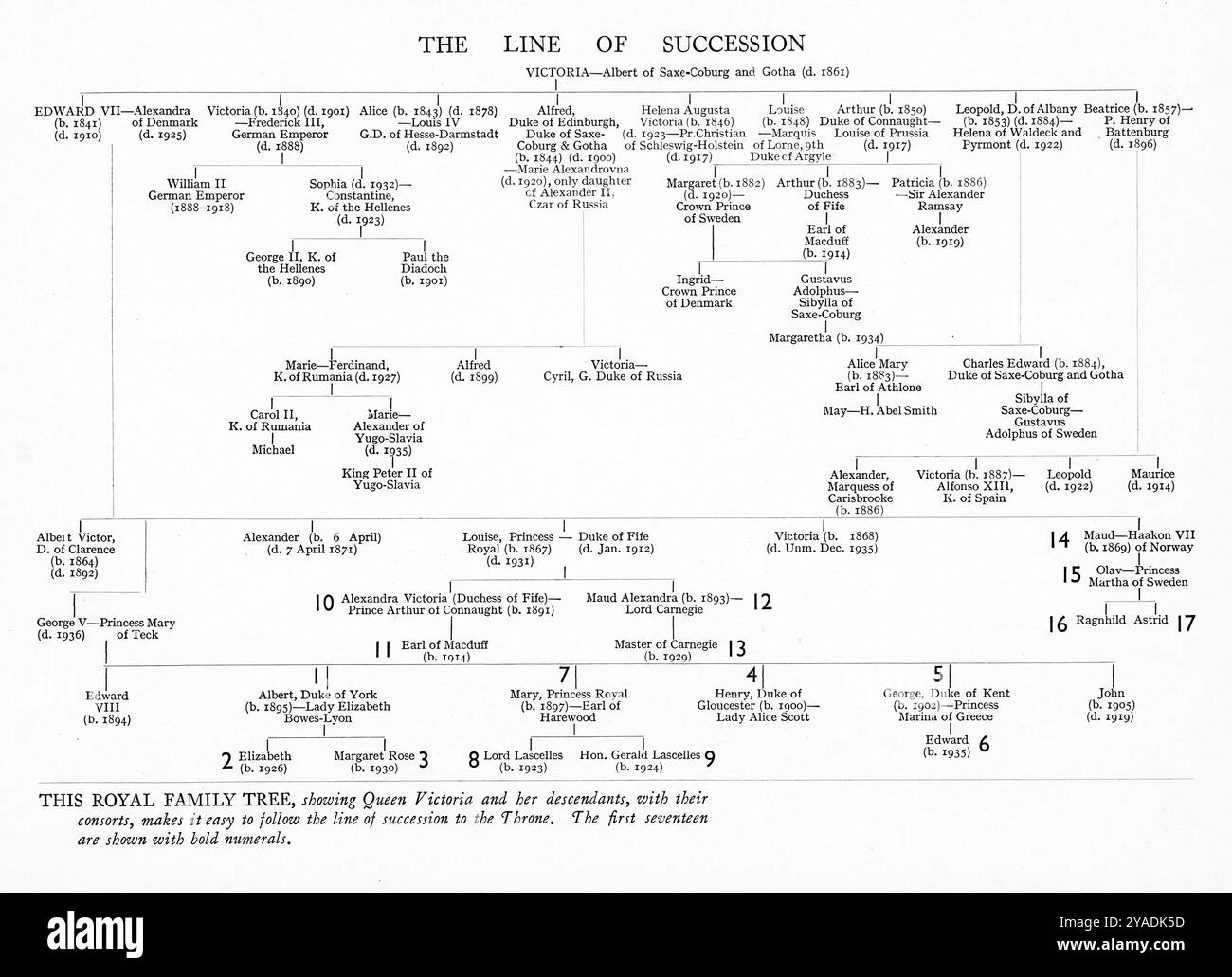 La linea di successione. Un albero della famiglia reale, che mostra i discendenti della regina Vittoria (1819-1901). La regina Vittoria fu monarca del Regno Unito di Gran Bretagna e Irlanda dal 20 giugno 1837 fino alla sua morte. Foto Stock La linea di successione. Un albero della famiglia reale, che mostra i discendenti della regina Vittoria (1819-1901). La regina Vittoria fu monarca del Regno Unito di Gran Bretagna e Irlanda dal 20 giugno 1837 fino alla sua morte. Foto Stock