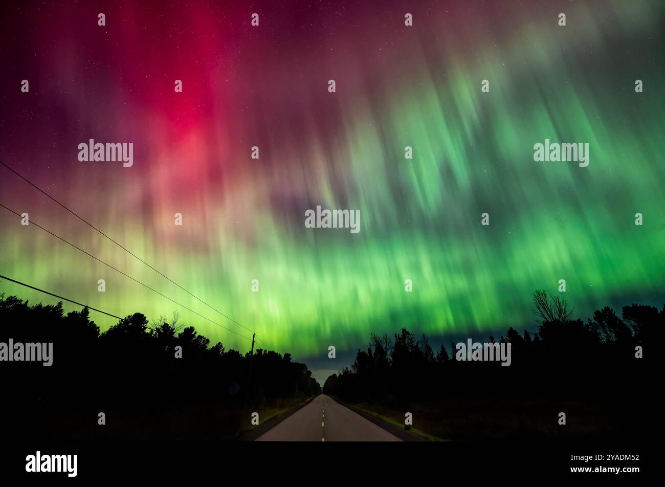 L'aurora boreale (Aurora Boreale) illumina il cielo in una splendida notte d'autunno fredda vicino a Ottawa, Canada, 10 ottobre 2024 Foto Stock