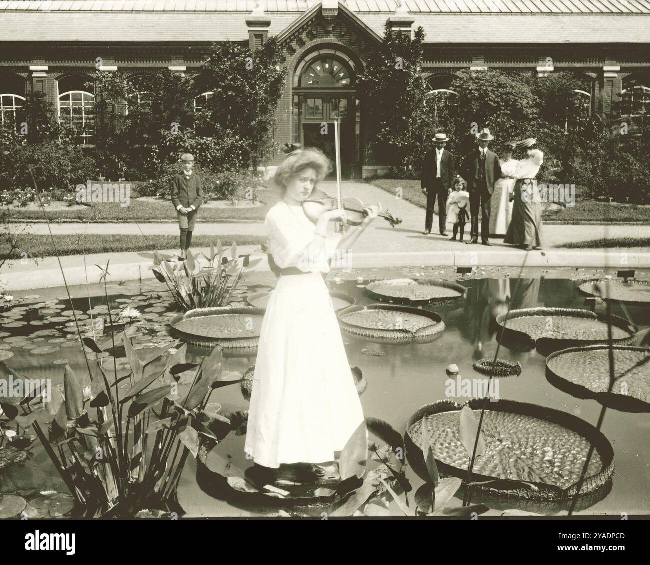 Donna che suona il violino, in piedi sul giglio al Shaw's Garden (Missouri Botanical Garden), di fronte alla Linnean House. Foto Stock