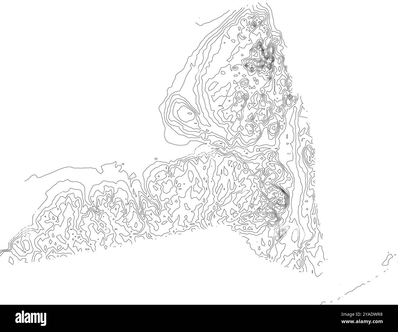 Mappa completa dei contorni dello stato di New York, che illustra la sua topografia diversificata, dalle regioni costiere alle montagne Illustrazione Vettoriale