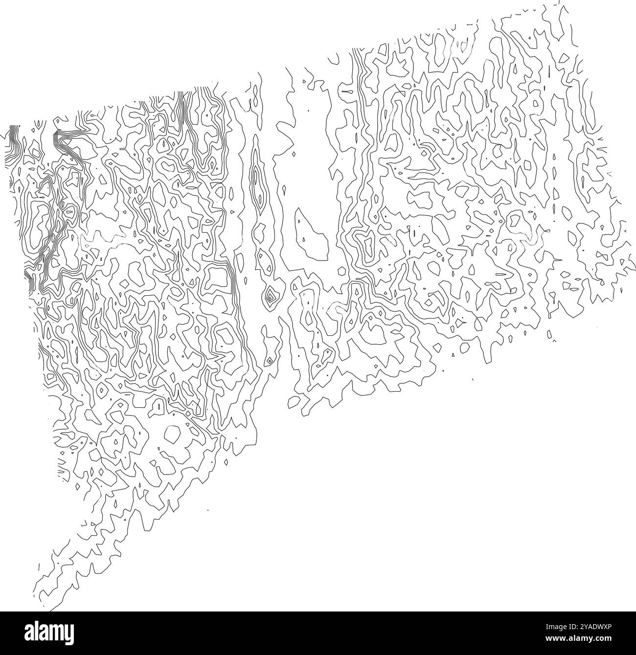 Mappa dettagliata dei contorni dello stato del Connecticut, evidenziando la sua topografia variegata, dalle pianure costiere alle colline ondulate Illustrazione Vettoriale