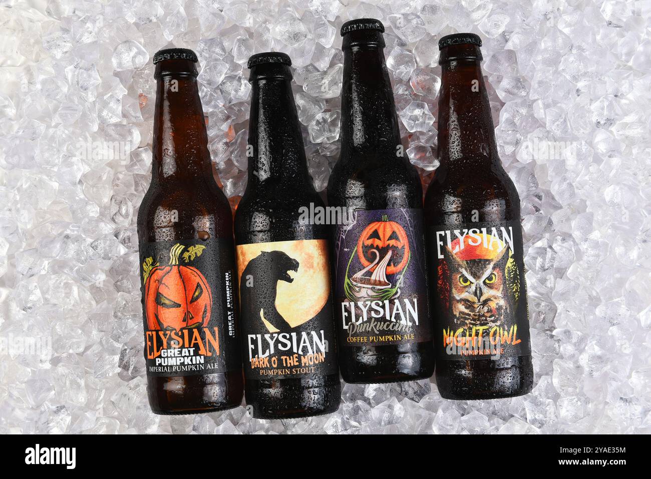 IRVINE, CALIFORNIA - 07 OCT 2024: Quattro bottiglie di Elysian Pumpkin Ales su un letto di ghiaccio. Foto Stock