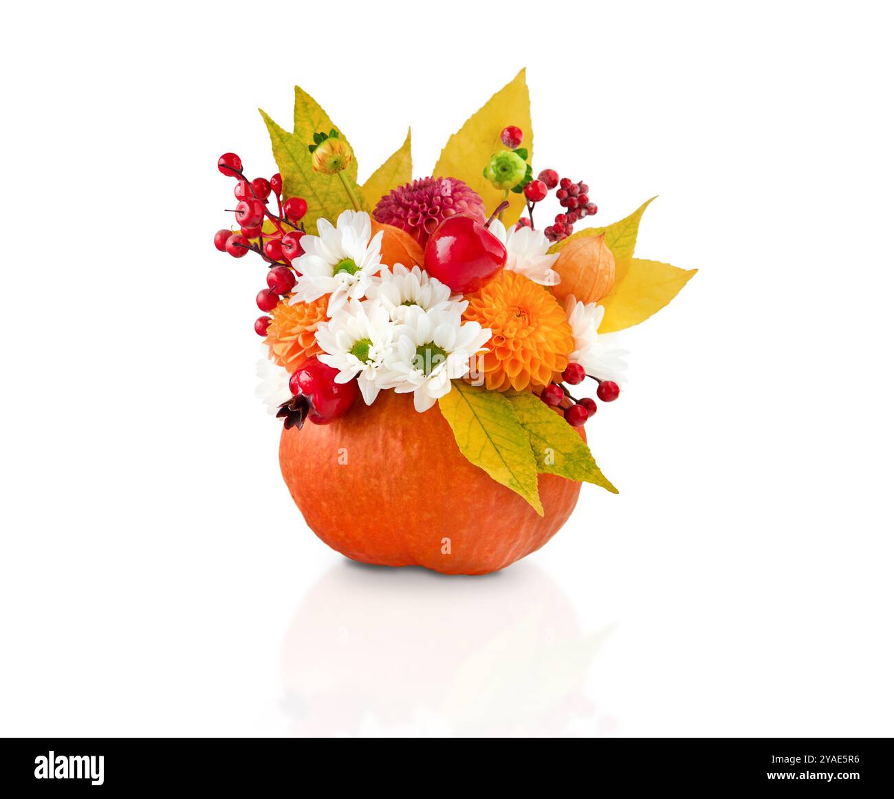 Bouquet di zucca del giorno del Ringraziamento isolato in bianco con percorso di ritaglio. Bouquet autunnale di splendidi fiori e frutti di bosco in vaso di zucca. Elemento di progettazione Foto Stock