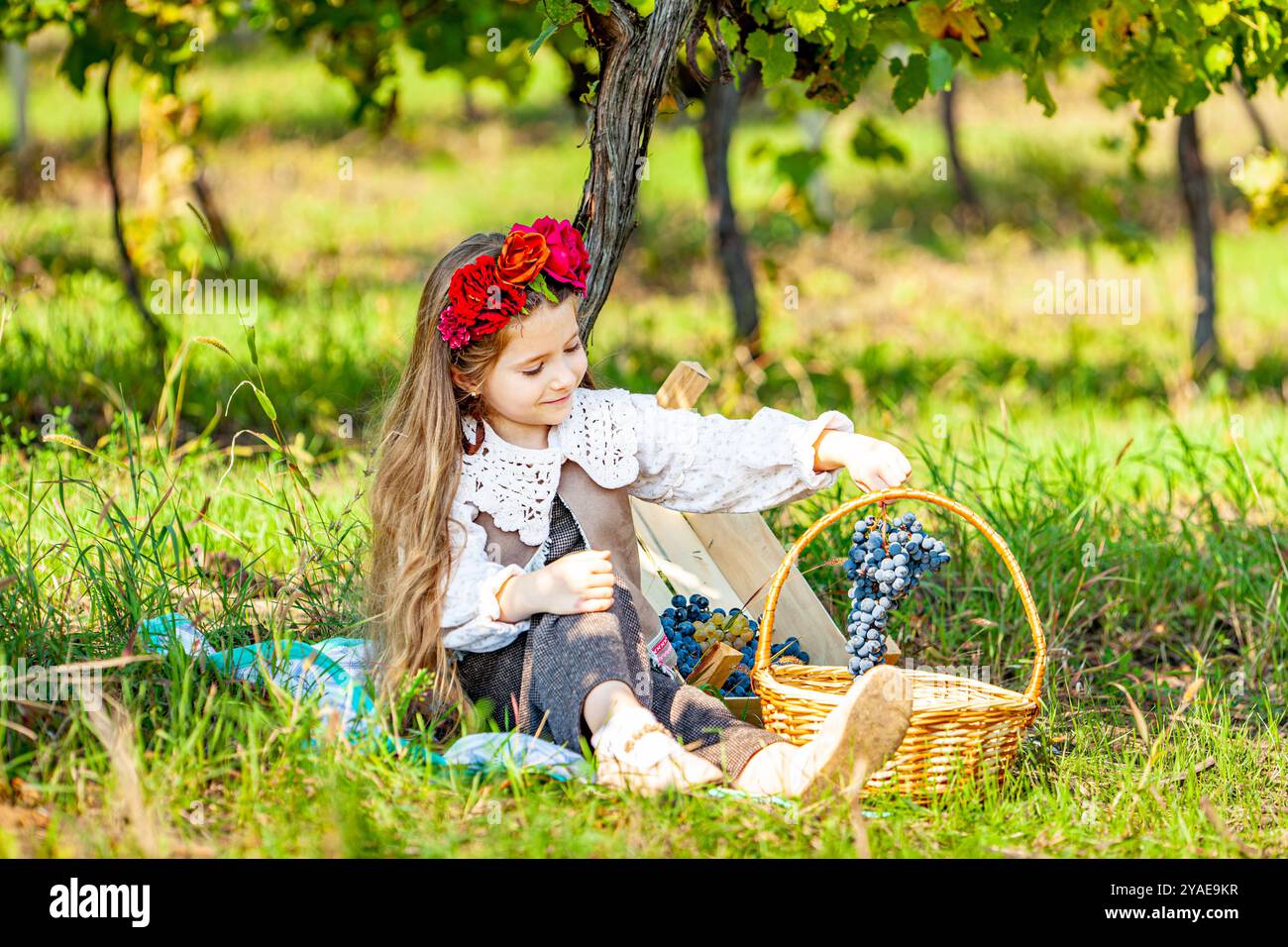 Una bambina con lunghi capelli biondi che tiene in mano un grande mucchio di uva Foto Stock