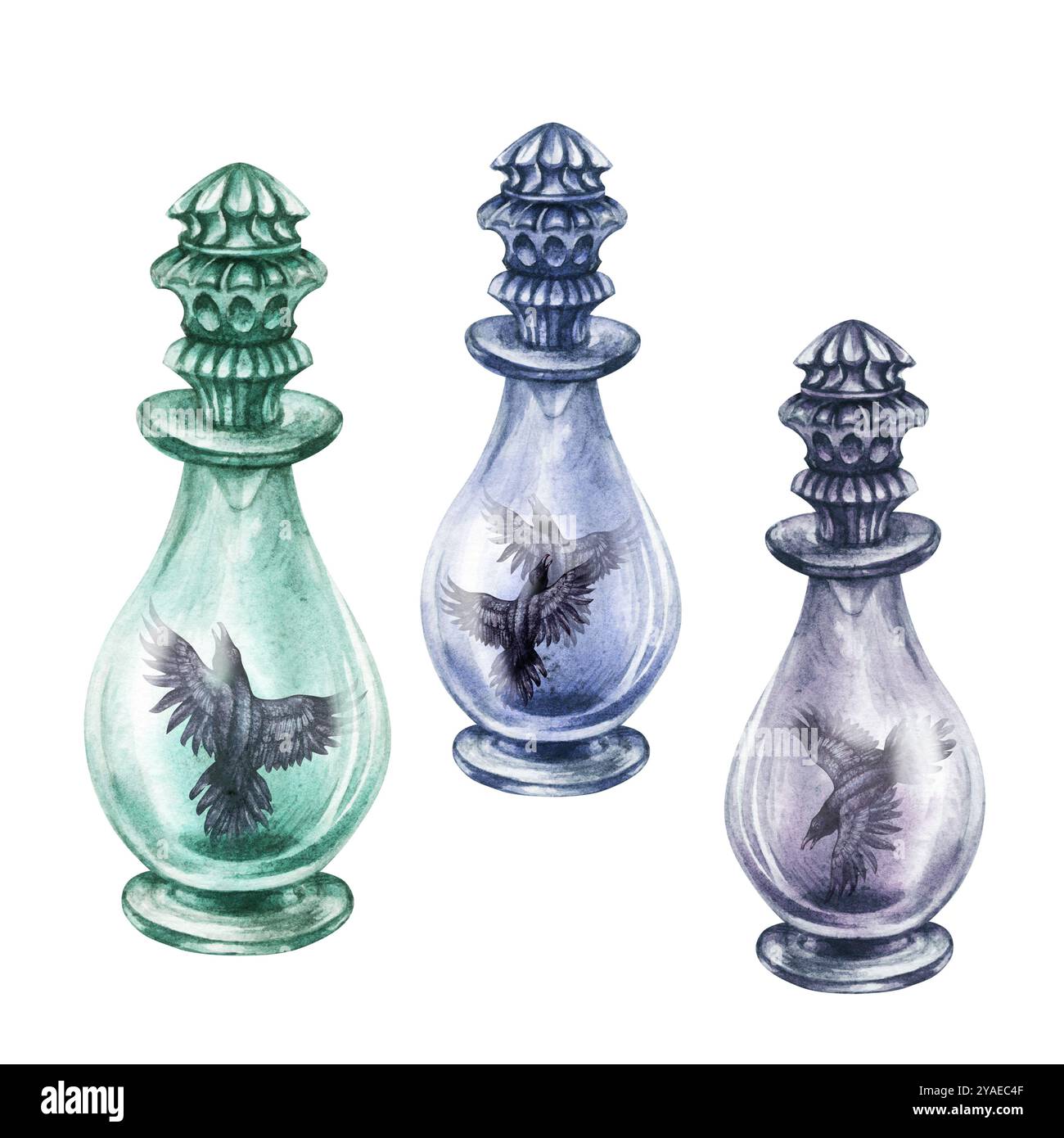 Bottiglia vintage in vetro trasparente con corvi neri gotici con ali aperte. Modello di illustrazione ad acquerello per pozioni magiche, alchimia, Hallowee Foto Stock