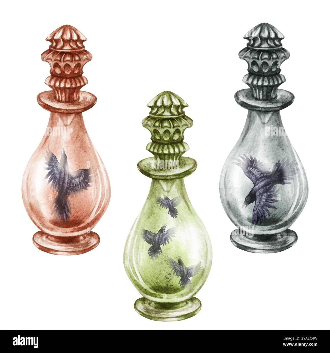 Bottiglia vintage in vetro trasparente con corvi neri gotici con ali aperte. Modello di illustrazione ad acquerello per pozioni magiche, alchimia, Hallowee Foto Stock