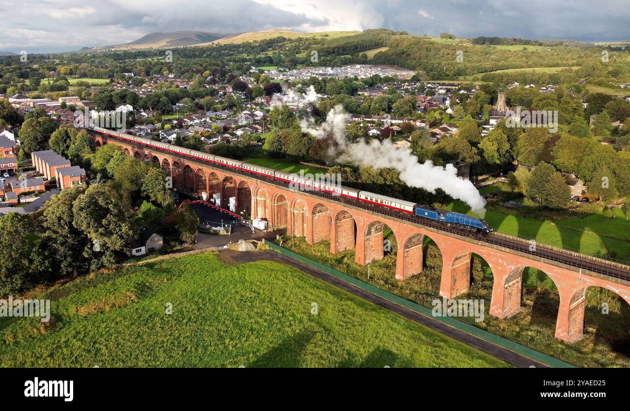 60007 Sir Nigel Gresley si dirige verso Whalley Viaduct su 28.8.24 con il ritorno del 'Fellsman' tour a Blackpool North. Foto Stock