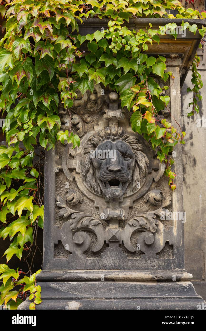 Intricata scultura di leoni in pietra su una facciata di edificio storico ricoperta da vibrante edera verde Foto Stock