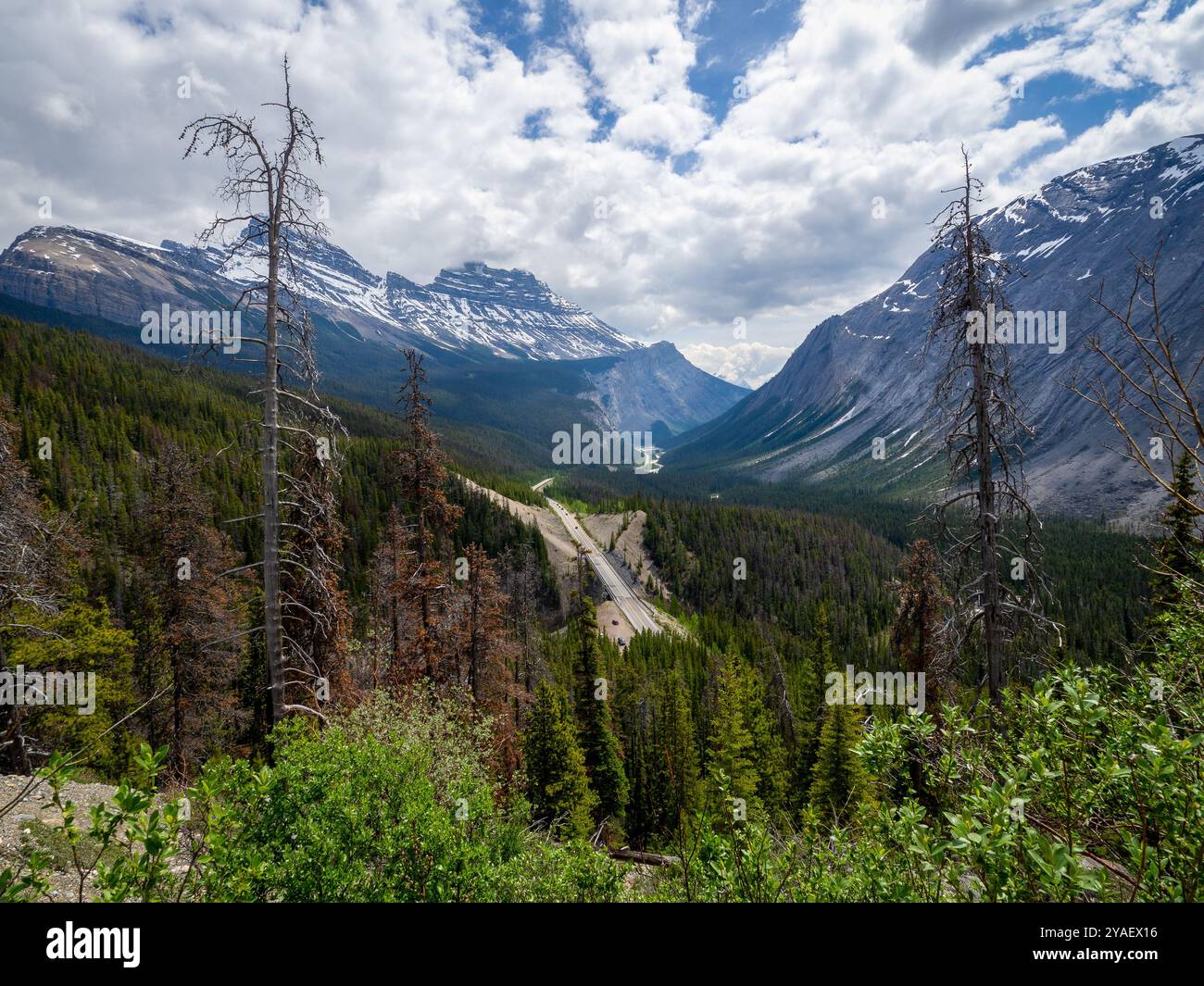 Icefield Parkway, autostrada 93, Alberta, Canada Foto Stock