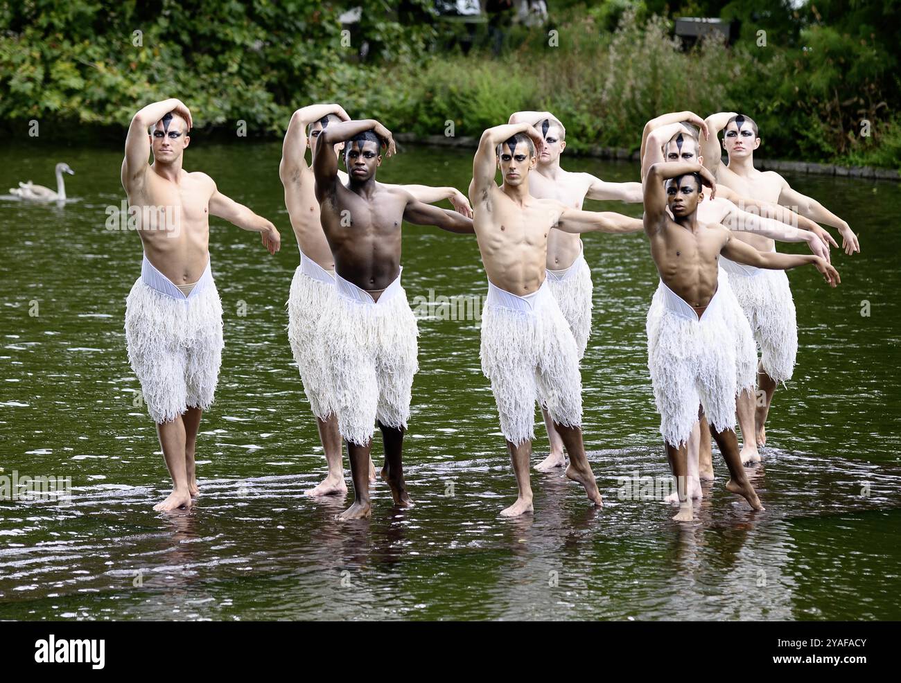 I ballerini del lago dei cigni di Matthew Bourne posano per una foto sul lago St James Park, Londra, per l'inizio del loro prossimo spettacolo e tour. Con: Matthew Amos, Xavier Andriambolanoro-sotiya, Ben Brown, Perreira de Jesus Franque, Jackson Fisch, Rory Macleod, leonardo McCorkindale, Harry Ondrak-Wright, Barnaby Quarendon dove: Londra, Regno Unito quando: 11 settembre 2024 credito: Laura Rose/WENN Foto Stock