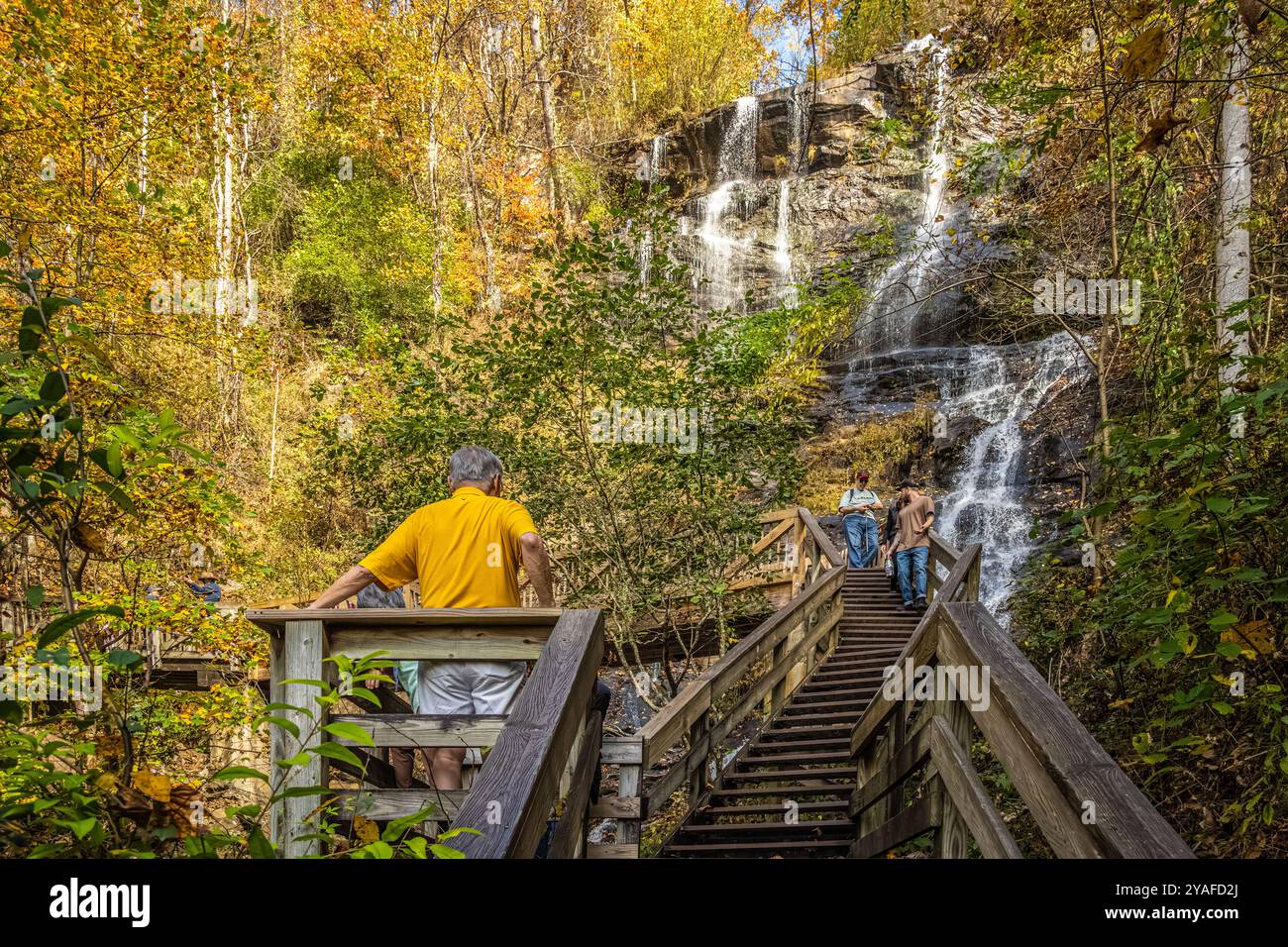 Sentiero Creekside con colorate foglie autunnali alle cascate Amicalola a Dawsonville, Georgia. (USA) Foto Stock