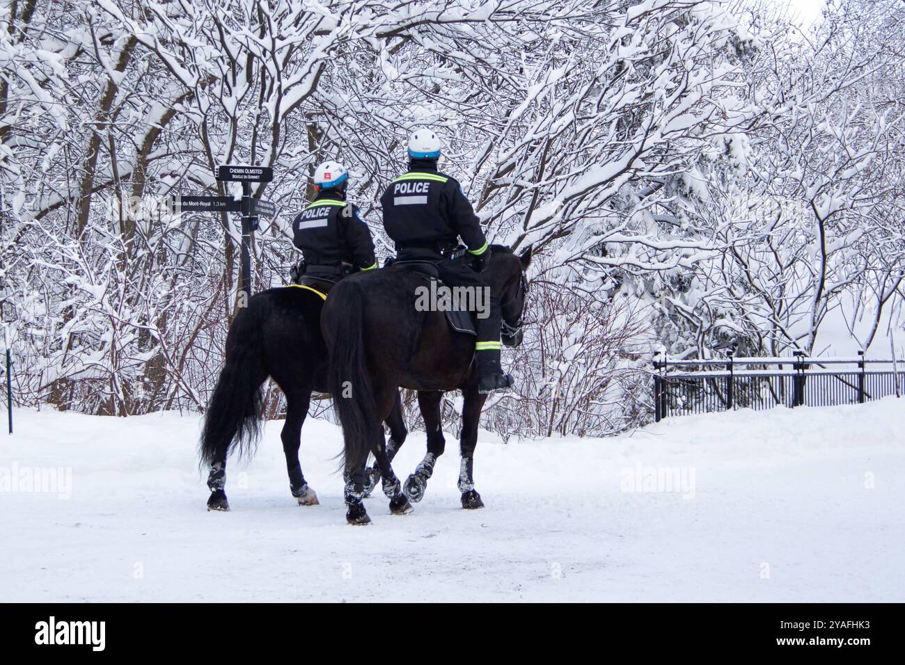 Pattugliamento della polizia a cavallo in uno Snowy Park, Montreal, Canada Foto Stock