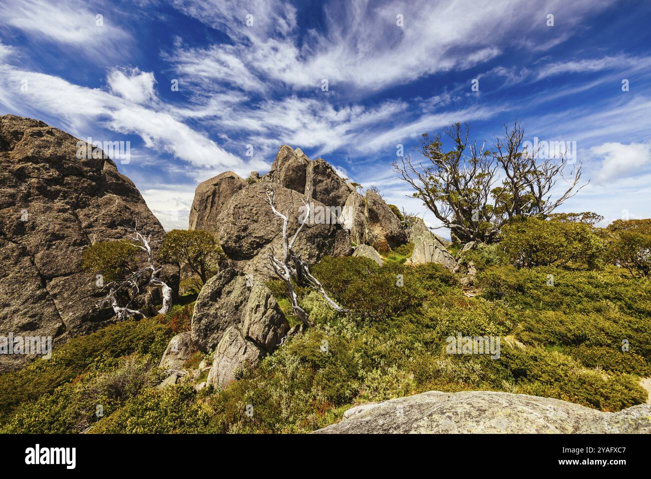 Viste panoramiche sulla cima delle rocce Porcupine sul sentiero per camminate Porcupine in una giornata estiva nel Parco Nazionale di Kosciuszko, nelle Snowy Mountains, New so Foto Stock