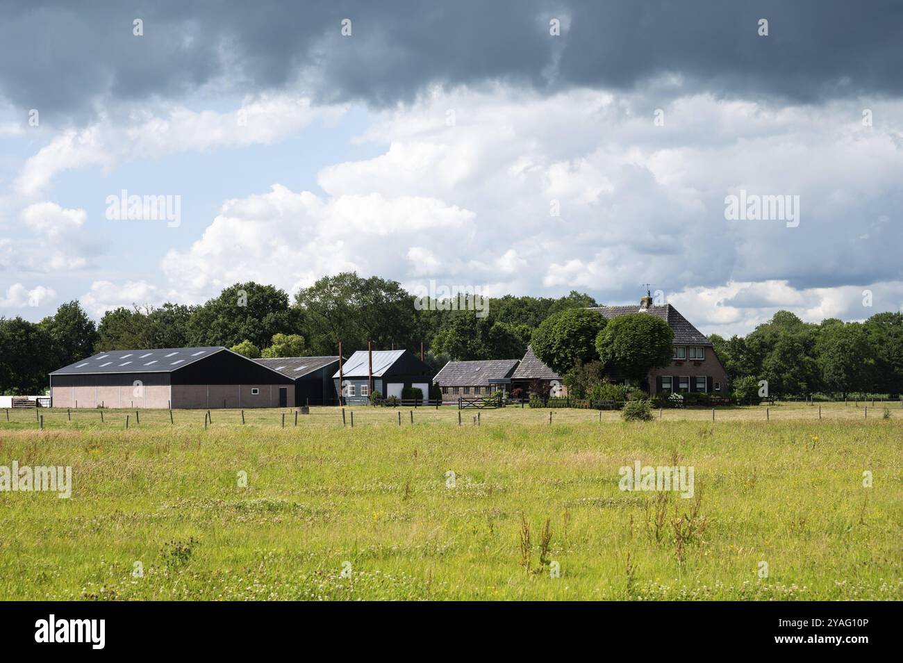 Zwolle, Overijssel, Paesi Bassi, 07 15 2022, Vista sui campi agricoli, le fattorie e le nuvole della zona alluvionale del fiume Ijssel, Europa Foto Stock