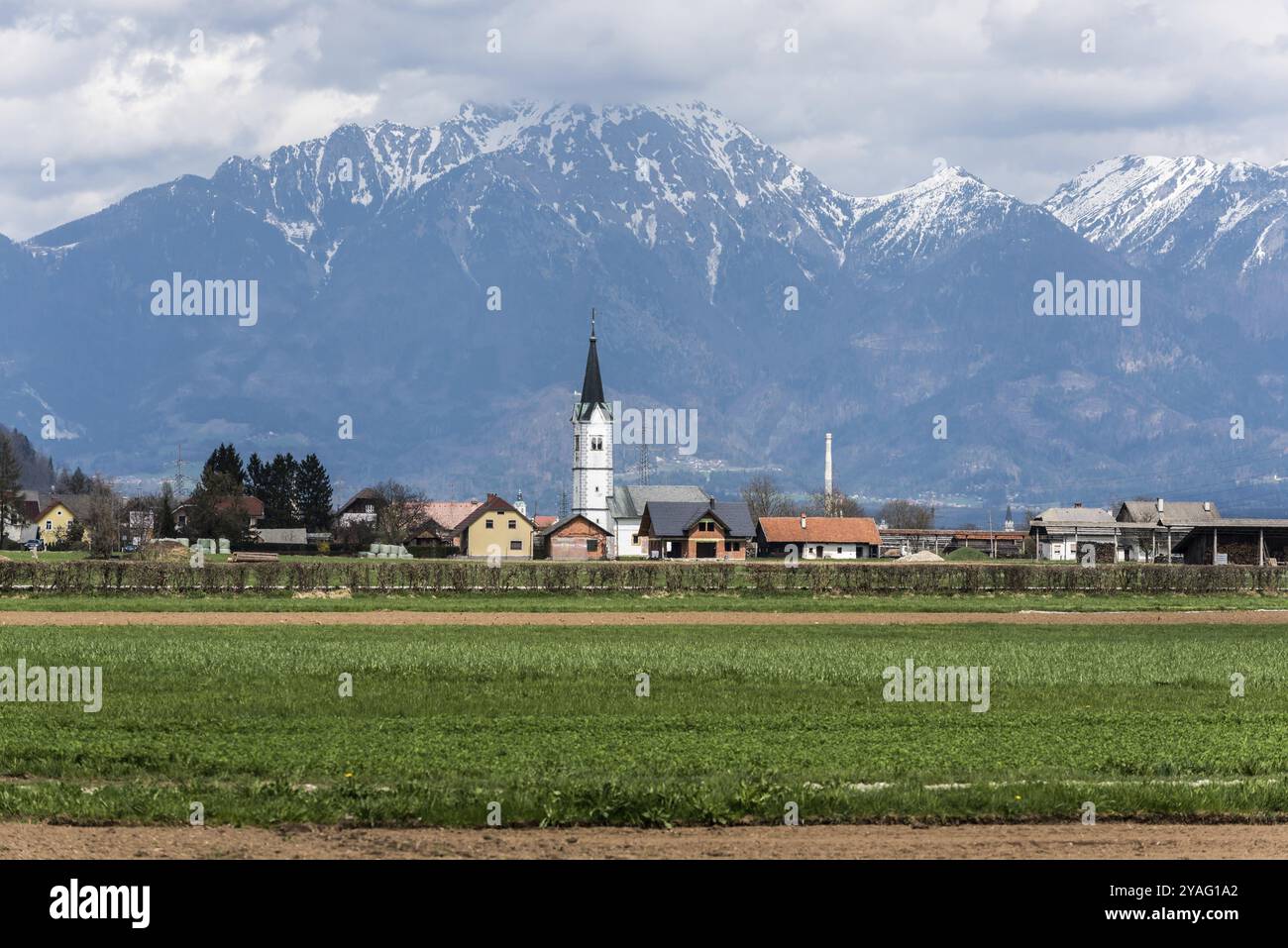Bled, Slovenia, 04 11 2018: Vista sulla campagna slovena, con prati verdi e montagne innevate, Europa Foto Stock