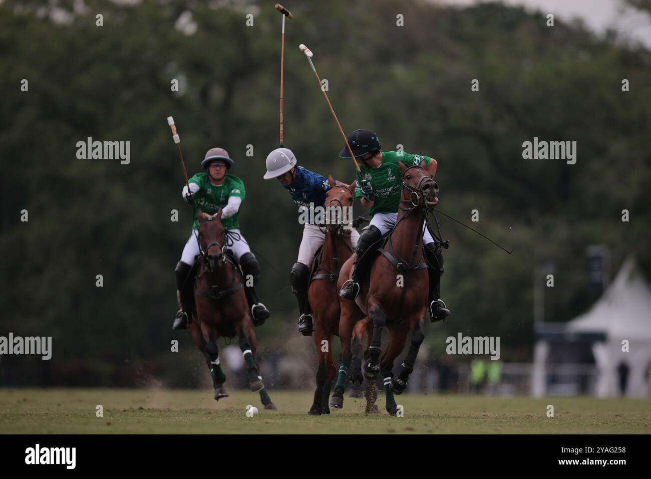 Tortuguitas, Buenos Aires - 13 ottobre 2024: Nel secondo round del 84° Tortugas Country Club Open, presentato da Jumbo, la Dolfina Saudi ha trionfato su la Hache Cría & Polo con una vittoria di 17-13 sul Field 5. Gonzalo Ferrari subentrò per un infortunato Adolfito Cambiaso, e la Dolfina trovò il proprio ritmo dal secondo chukker, vincendolo 4-0 e prendendo il controllo del match. Poroto Cambiaso si distinse con 8 gol (sei dai rigori), mentre Pelón Stirling e Juan M. Nero contribuirono a una forte prestazione della squadra. Crediti: UNAR Photo/Alamy Live News Foto Stock