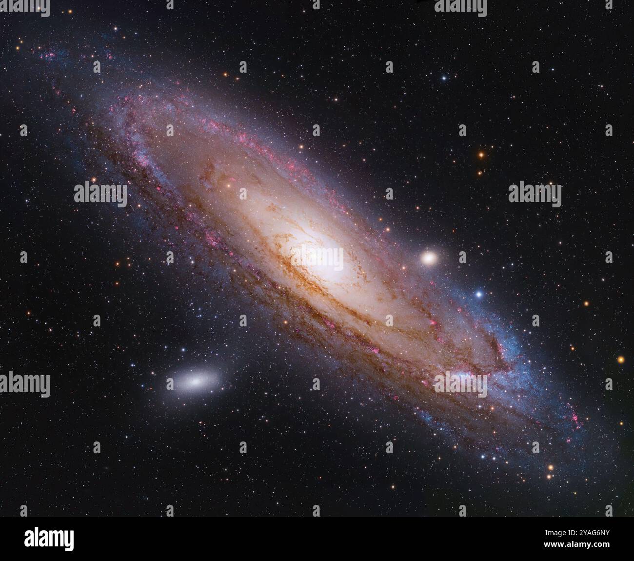 L'Andromeda Galaxy M31 nel cielo notturno. Foto Stock