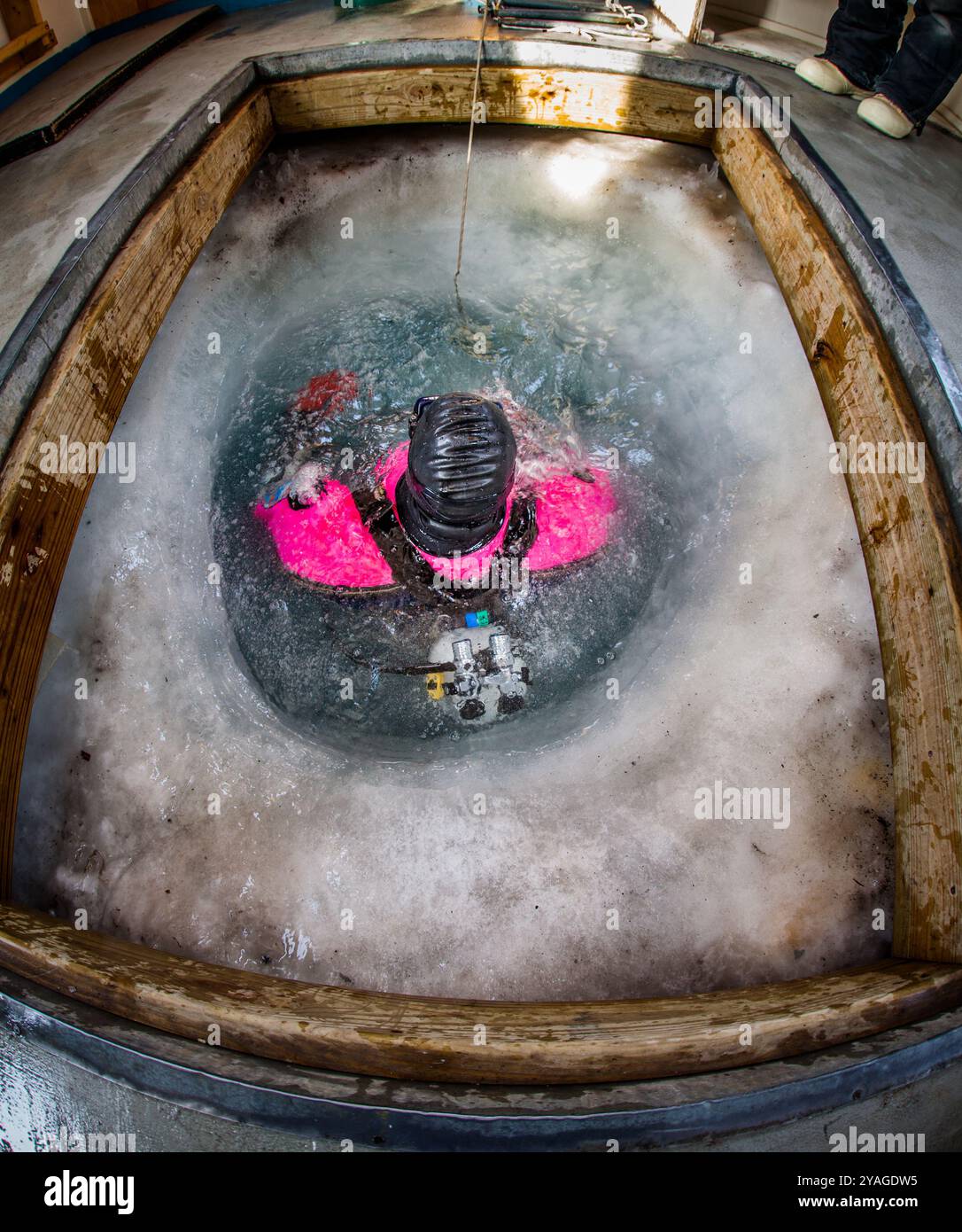 Subacqueo di ricerca marina che inizia la sua immersione sotto il ghiaccio antartico per studiare l'ecosistema marino polare nella stazione McMurdo, in Antartide Foto Stock