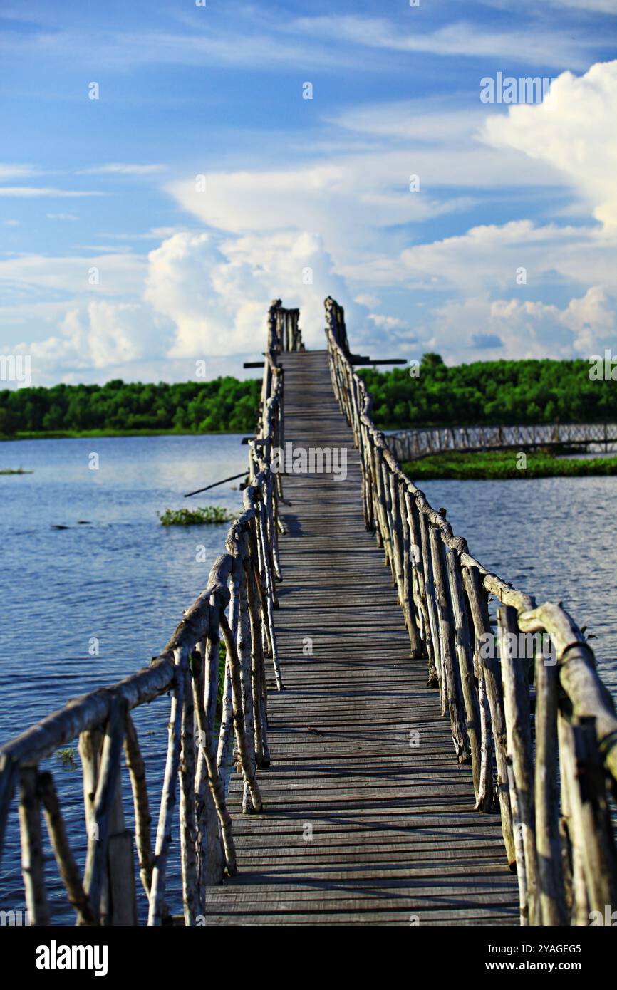 Lunga passerella in legno che collega l'isola al progetto di sviluppo di Nong Yai nella provincia di Chumphon, Thailandia Foto Stock